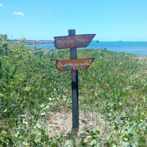 Portocel apoia mutirão de limpeza em praias de Aracruz